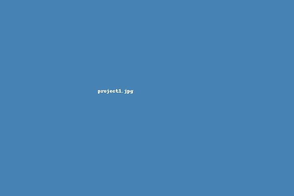 Web projekat 1
